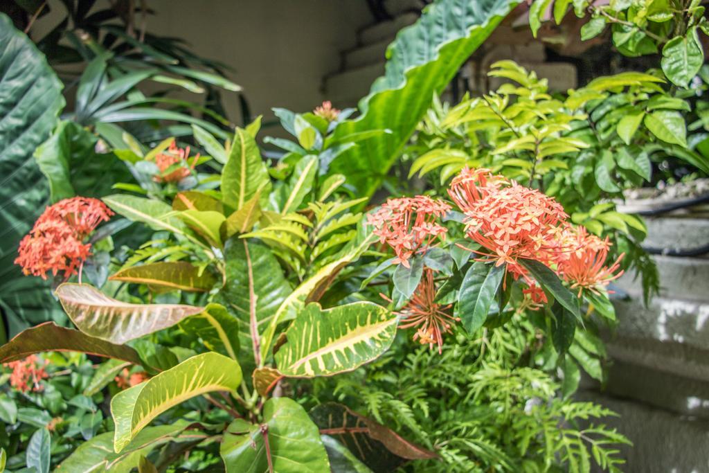 Villa Seriska Seminyak Ngoại thất bức ảnh